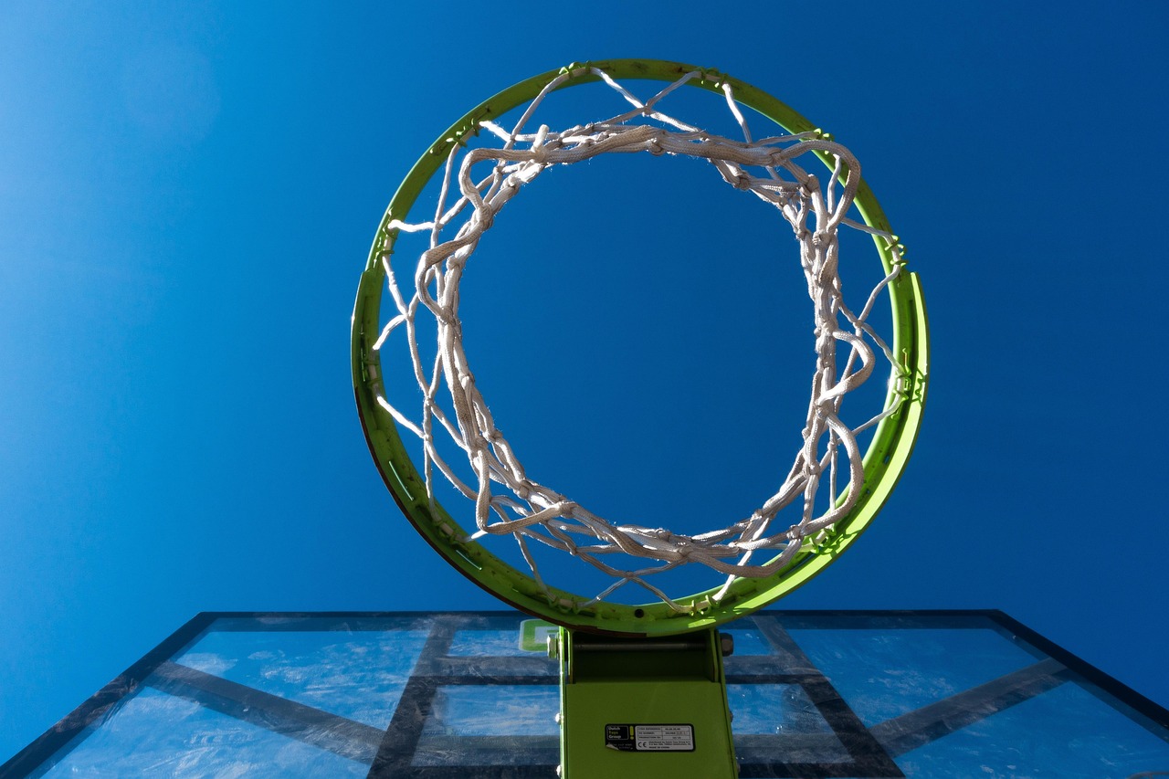 Temsili görsel: Milli Basketbolcular Bosna Hersek Maçı İçin Hazır